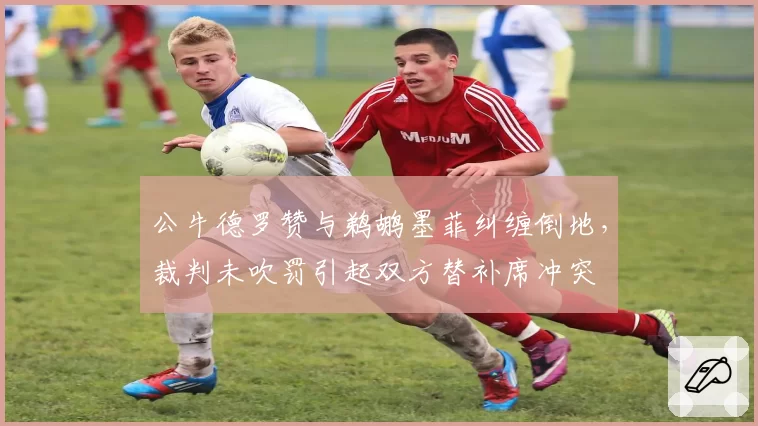 公牛德罗赞与鹈鹕墨菲纠缠倒地,裁判未吹罚引起双方替补席冲突