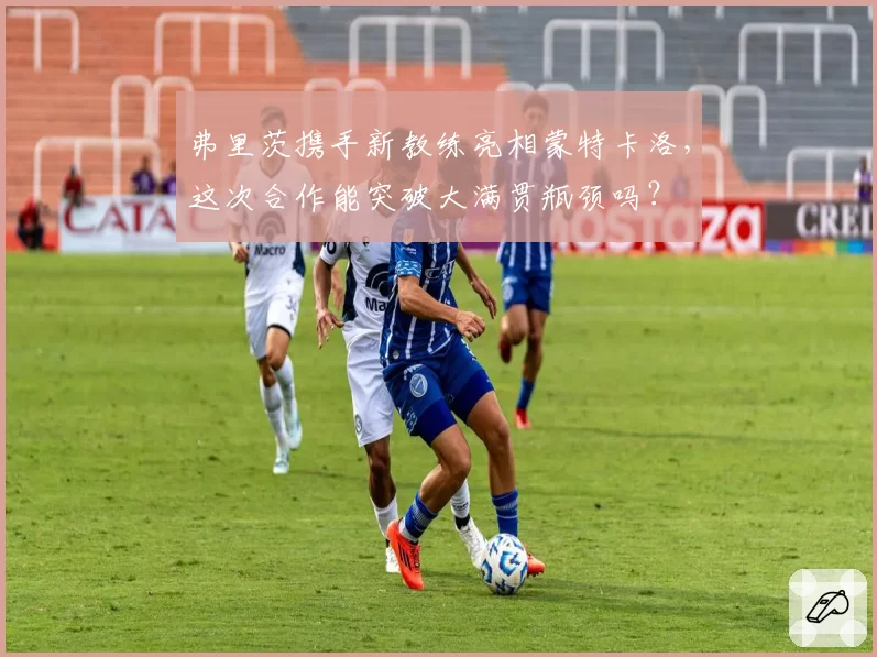 弗里茨携手新教练亮相蒙特卡洛，这次合作能突破大满贯瓶颈吗？