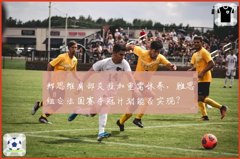 郑思维肩部炎症加重需休养,雅思组合法国赛夺冠计划能否实现?